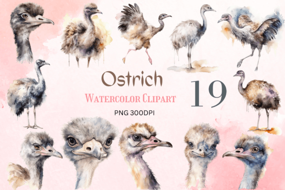 Watercolor Ostrich Clipart Sublimation for Crafts & Design