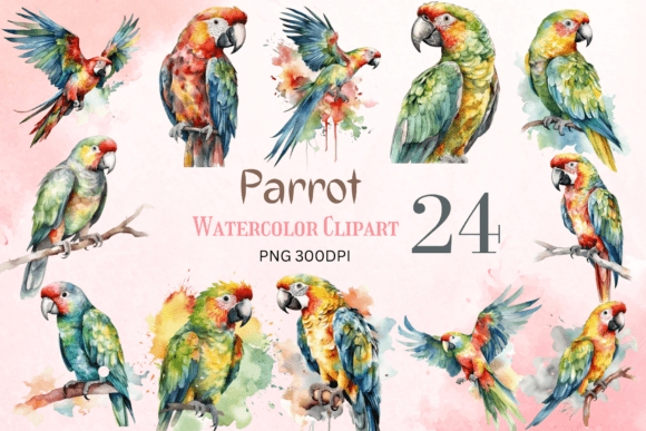 Watercolor Parrot Clipart Sublimation for Crafts
