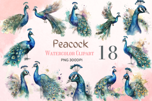 Watercolor Peacock Clipart Sublimation for Crafts & Branding