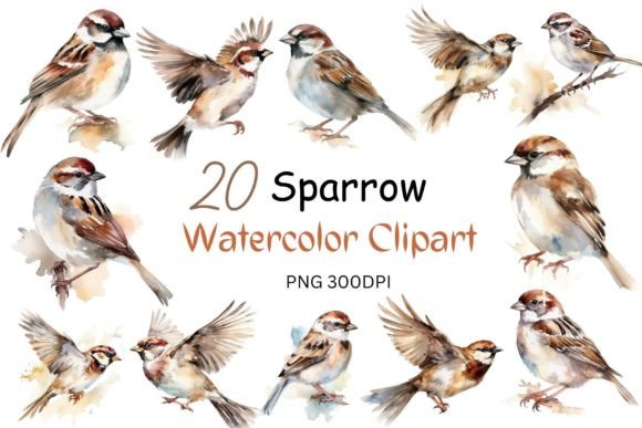 Watercolor Sparrow Clipart Embroidery Review