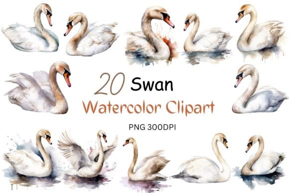 Watercolor Swan Clipart Sublimation for Crafts & Branding