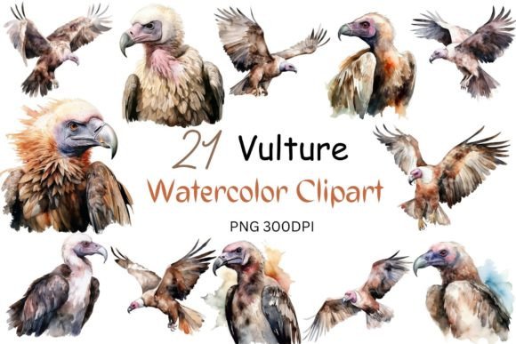 Watercolor Vulture Clipart Sublimation for Crafts & Branding